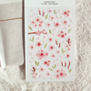 Suatelier Stickers - Water Blossom