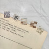 Pion Die-Cut Washi Sticker Roll: Coaster