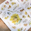 Meow Illustration Print-On Stickers - Flower Girl | Grass
