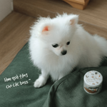 teayou Die-Cut PET Tape: Uchi no Wanchan (my home dog)