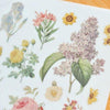 MU Print-On Sticker - Botanical Series III