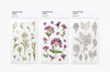Press Flower Stickers Verbena