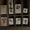 som studio Rubber Stamp: Pressed Flower Series