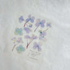 Pressed Flower Print-on Sticker: Hydrangea