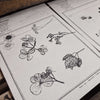 Pressed Flower Rubber Stamp Series