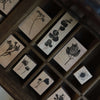 Pressed Flower Rubber Stamp Series